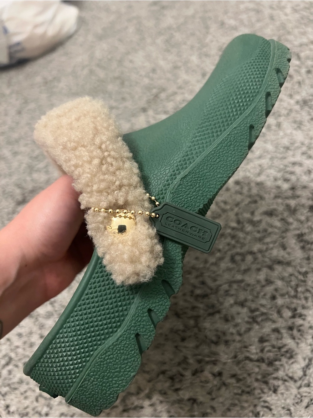 Coach Lola Hunter Shearling-lined Clog